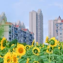 梅冲湖湖畔公园 - 合肥市旅游 缩略图 3