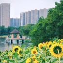 梅冲湖湖畔公园 - 合肥市旅游 缩略图 9