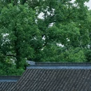 南京市文物保护单位 崇正书院遗址 - 南京市旅游 缩略图 4