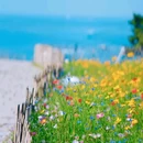 那琴半岛地质海洋公园 - 江门市旅游 缩略图 2