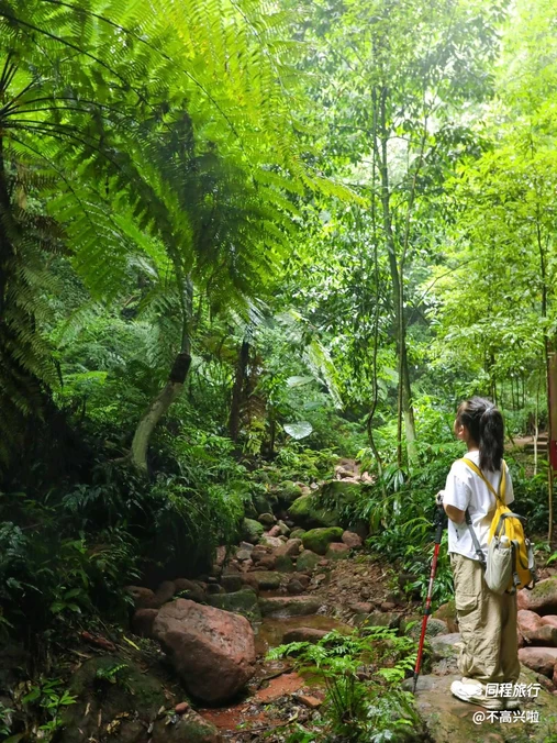 中岩寺景区 - 眉山市旅游