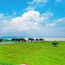 清远石角镇南宾馆 - 清远市旅游 缩略图 4