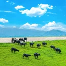 清远石角镇南宾馆 - 清远市旅游 缩略图 3