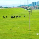 清远石角镇南宾馆 - 清远市旅游 缩略图 9
