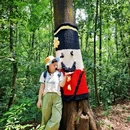白云山风景名胜区 - 广州市旅游 缩略图 2