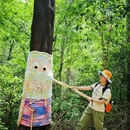 白云山风景名胜区 - 广州市旅游 缩略图 4