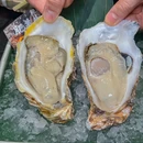 鲍火鲍鱼鸡海鲜火锅 - 深圳市旅游 缩略图 3
