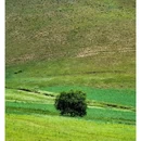 石条山 - 锡林郭勒盟旅游 缩略图 2