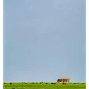 石条山 - 锡林郭勒盟旅游 缩略图 8