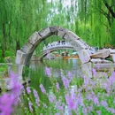圆明园遗址公园 - 北京市旅游 缩略图 3
