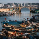 海源公园 - 威海市旅游 缩略图 3