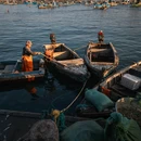 海源公园 - 威海市旅游 缩略图 6