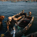 海源公园 - 威海市旅游 缩略图 7