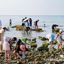 烟台东方海洋月亮湾大酒店(月亮湾栈桥店) - 烟台市旅游 缩略图 4