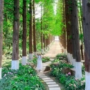 白马公园-南门 - 南京市旅游 缩略图 5