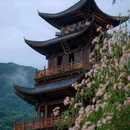 葛仙村国际旅游度假区 - 上饶市旅游 缩略图 3