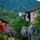 葛仙村国际旅游度假区 - 上饶市旅游 缩略图 5