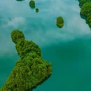 黄山尖 - 杭州市旅游 缩略图 5