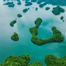 黄山尖 - 杭州市旅游 缩略图 7