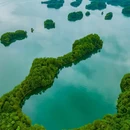 黄山尖 - 杭州市旅游 缩略图 6