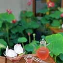 沏茶师CHICHAS(东安天街店) - 成都市旅游 缩略图 6