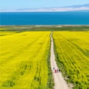西宁旅游 缩略图 4