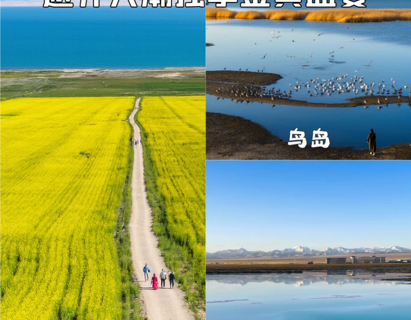 西宁旅游 1
