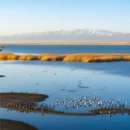 西宁旅游 缩略图 7