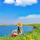 呼伦贝尔大草原 - 呼伦贝尔市旅游 缩略图 8