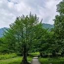 黑竹沟风景名胜区 - 乐山市旅游 缩略图 2
