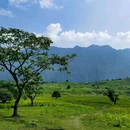 黑竹沟风景名胜区 - 乐山市旅游 缩略图 4