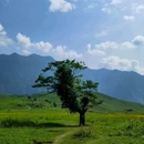 黑竹沟风景名胜区 - 乐山市旅游 缩略图 3