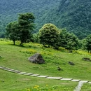 黑竹沟风景名胜区 - 乐山市旅游 缩略图 6