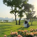 天府新区规划厅 - 成都市旅游 缩略图 1