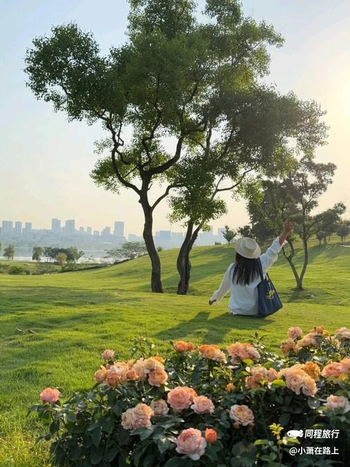 天府新区规划厅 - 成都市旅游