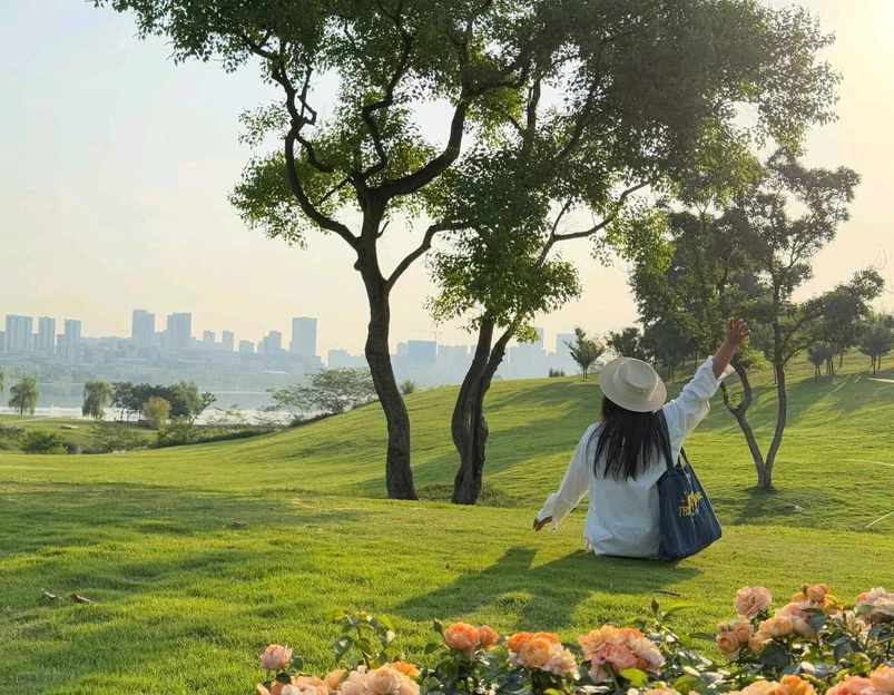 天府新区规划厅 - 成都市旅游 1