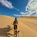 敦煌鸣沙山月牙泉风景名胜区 - 酒泉市旅游 缩略图 4