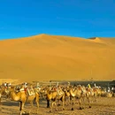 敦煌鸣沙山月牙泉风景名胜区 - 酒泉市旅游 缩略图 2