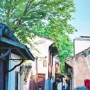 周庄古镇风景区 - 苏州市旅游 缩略图 3