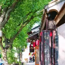 周庄古镇风景区 - 苏州市旅游 缩略图 6