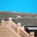 周庄古镇风景区 - 苏州市旅游 缩略图 7