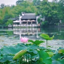 中国包公园 - 合肥市旅游 缩略图 1