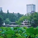 中国包公园 - 合肥市旅游 缩略图 4