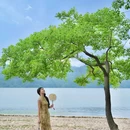 东湖落雁景区-南门 - 武汉市旅游 缩略图 7