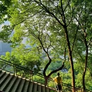 关岳庙 - 重庆旅游 缩略图 2
