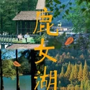 金华四季瑞丽酒店(市政府世贸城市广场店) - 金华市旅游 缩略图 1