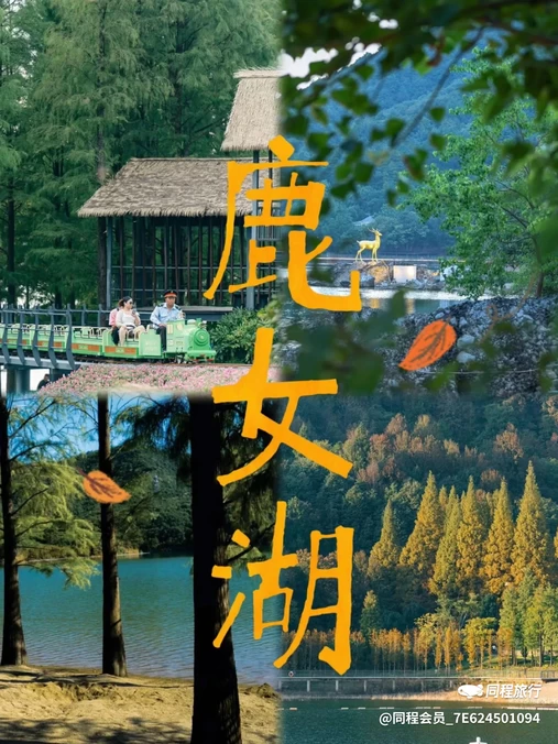 金华四季瑞丽酒店(市政府世贸城市广场店) - 金华市旅游