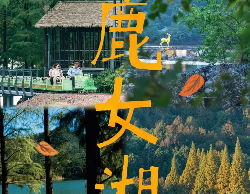 金华四季瑞丽酒店(市政府世贸城市广场店) - 金华市旅游 1