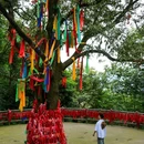 成都香格里拉 - 成都市旅游 缩略图 4