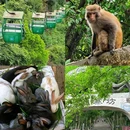 成都香格里拉 - 成都市旅游 缩略图 7